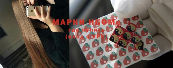 прущие грибы Баксан