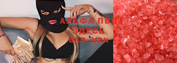 прущие грибы Баксан