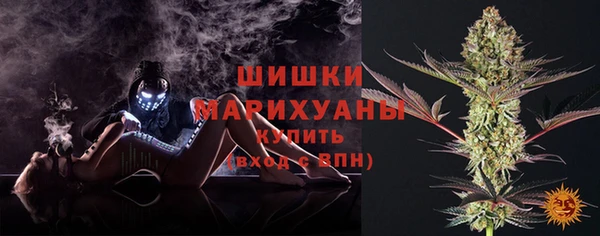 прущие грибы Баксан